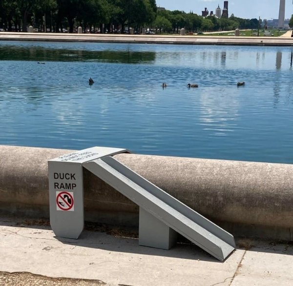 Unusual Things And Designs (43 pics)