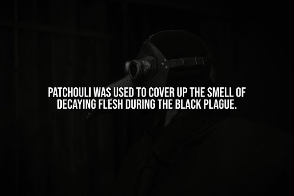 Creepy Facts (13 pics) Creepy Facts (13 pics)