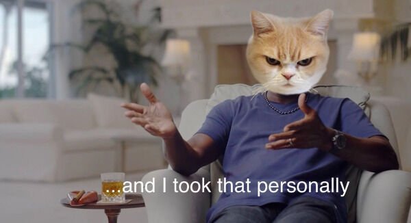 Jokes And Photos For Cats Lovers (43 pics)