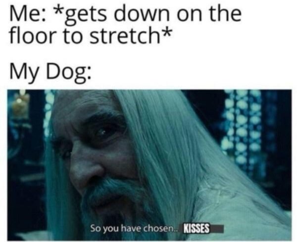 Random Memes (36 pics)