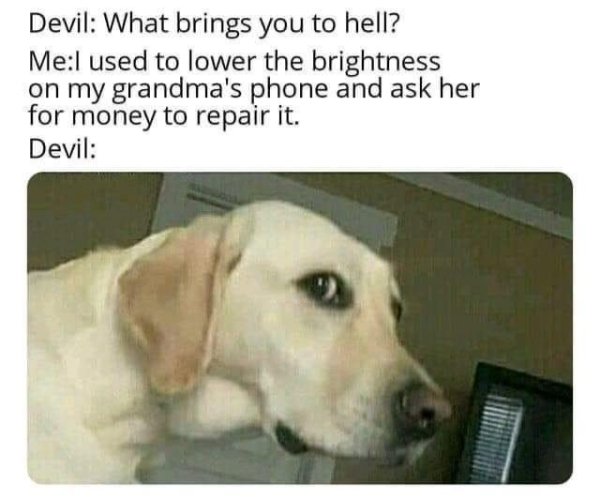 Random Memes (36 pics)