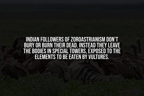 Creepy Facts (13 pics) Creepy Facts (13 pics)