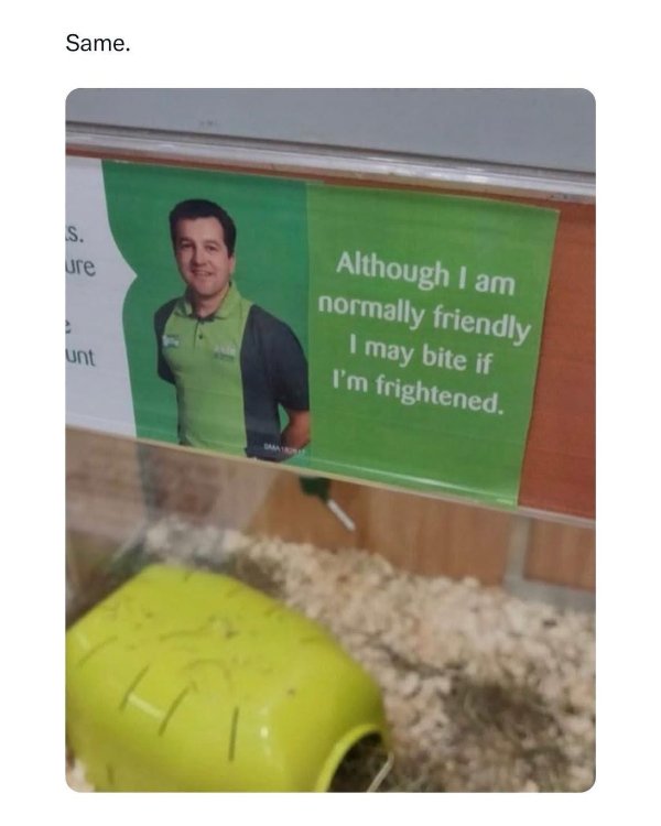 Random Memes (36 pics)