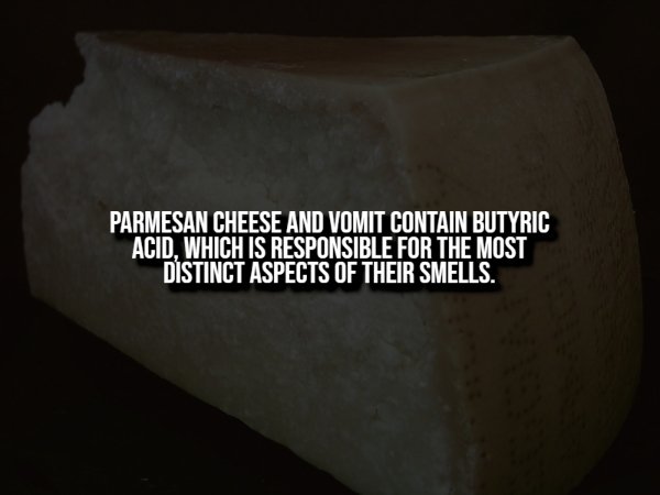 Creepy Facts (13 pics) Creepy Facts (13 pics)