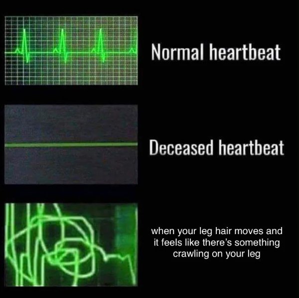 Random Memes (36 pics)