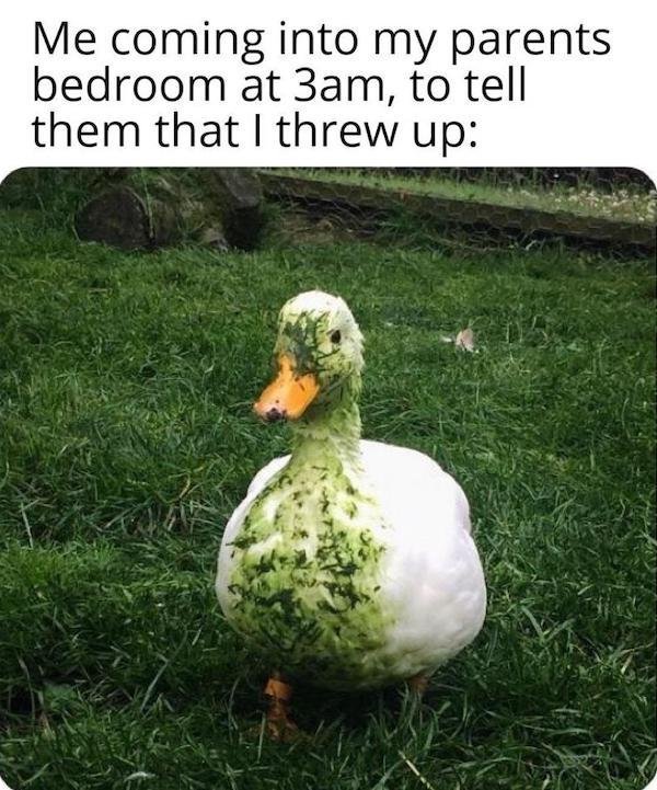 Hilarious Jokes (39 pics)