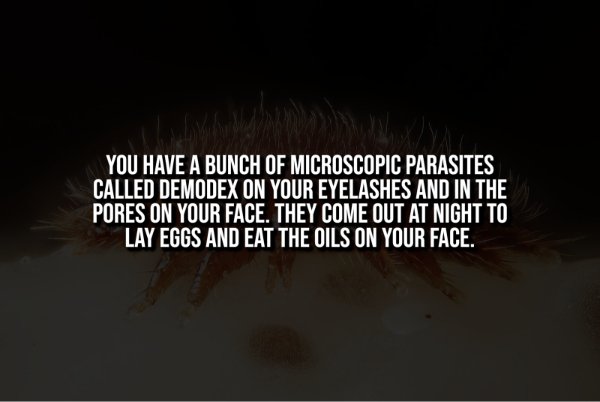 Creepy Facts (13 pics) Creepy Facts (13 pics)