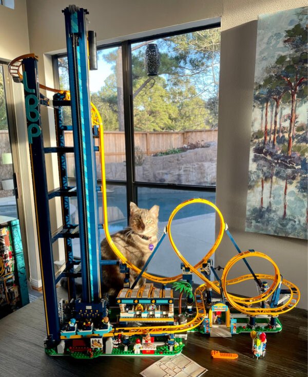 Jokes And Photos For Cats Lovers (43 pics)