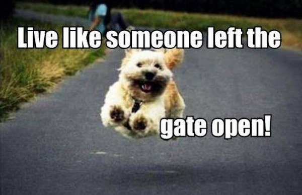 Hilarious Jokes (39 pics)