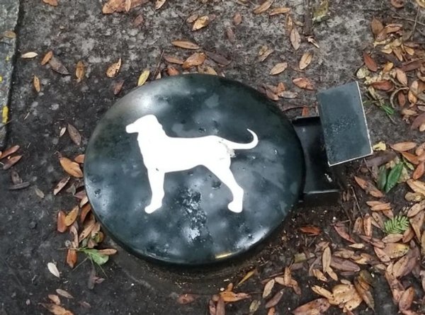 Unusual Things And Designs (43 pics)