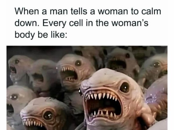 Random Memes (36 pics)