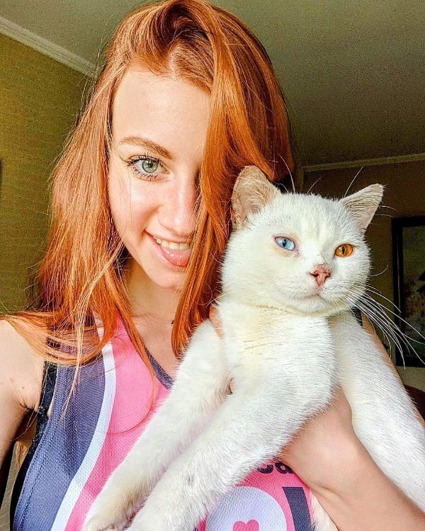 Jokes And Photos For Cats Lovers (43 pics)