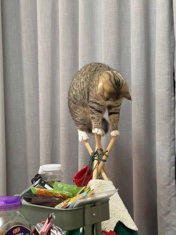 Genius Or Not? (28 pics)