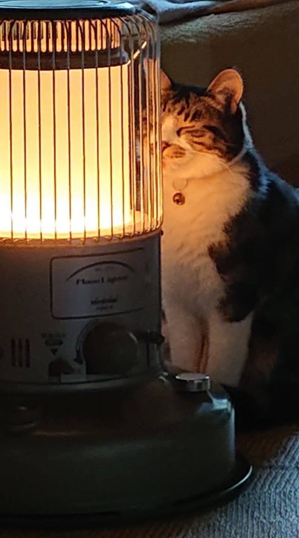 Genius Or Not? (28 pics)