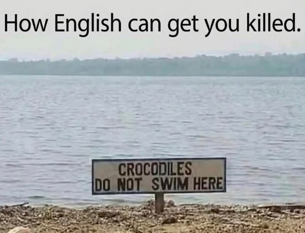 Genius Or Not? (28 pics)