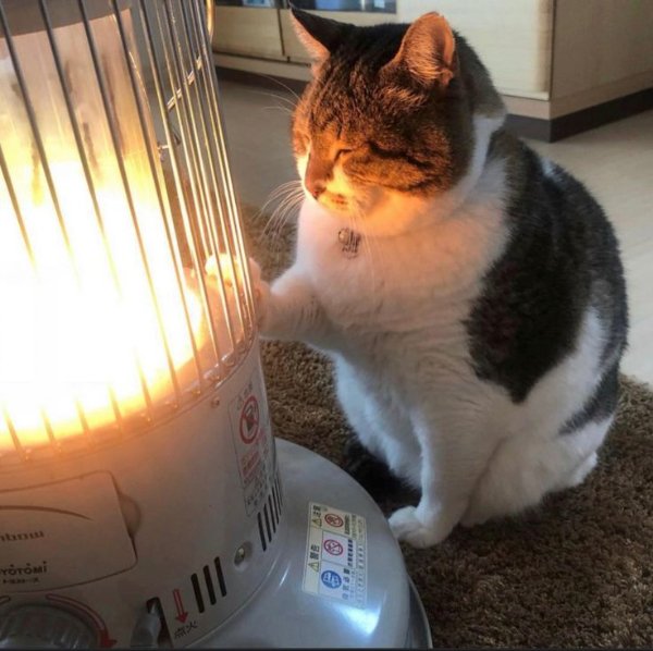 Genius Or Not? (28 pics)