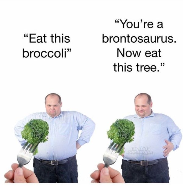 What Is Going On Here? (28 pics) What Is Going On Here? (28 pics)