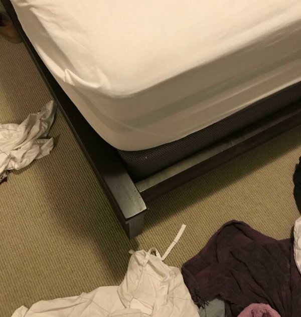 Interesting Finds (32 pics)