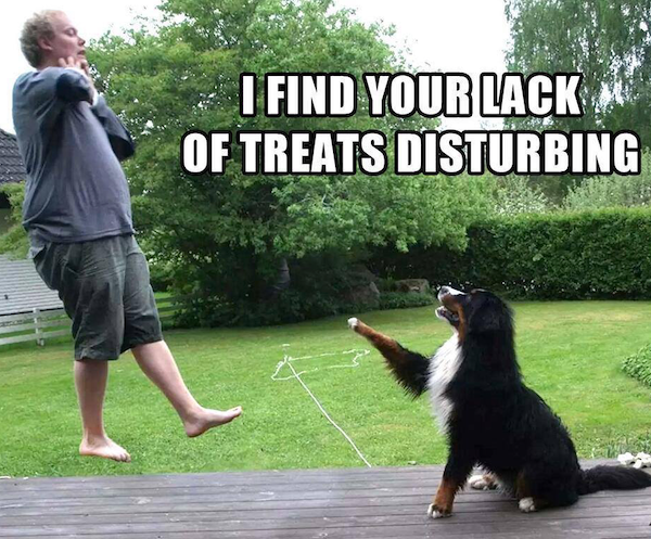 Movie Memes (43 pics)