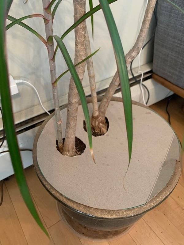 Useful Lifehacks (23 pics)