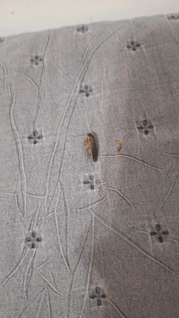 Bad Days Happen (23 pics)