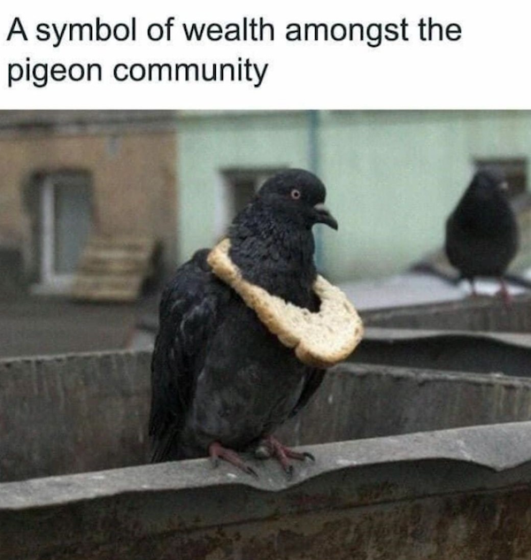 Funny Memes (31 pics) Funny Memes (31 pics)