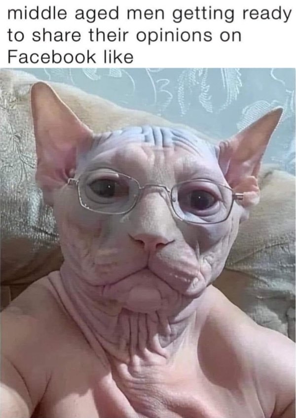 Funny Memes (31 pics) Funny Memes (31 pics)