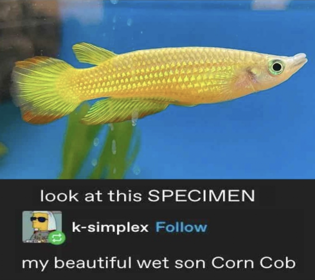 Funny Memes (31 pics) Funny Memes (31 pics)