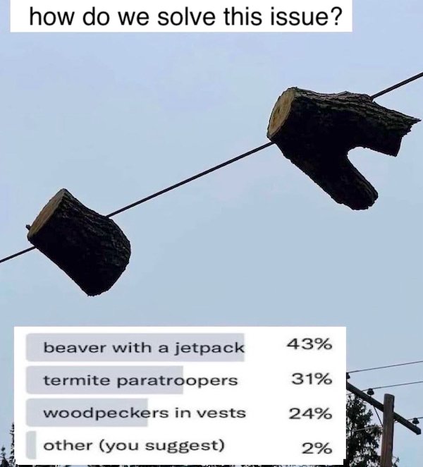 Funny Memes (31 pics) Funny Memes (31 pics)