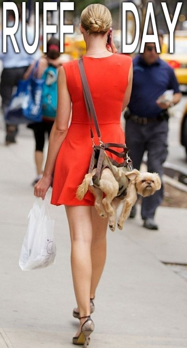 Funny Memes (31 pics) Funny Memes (31 pics)