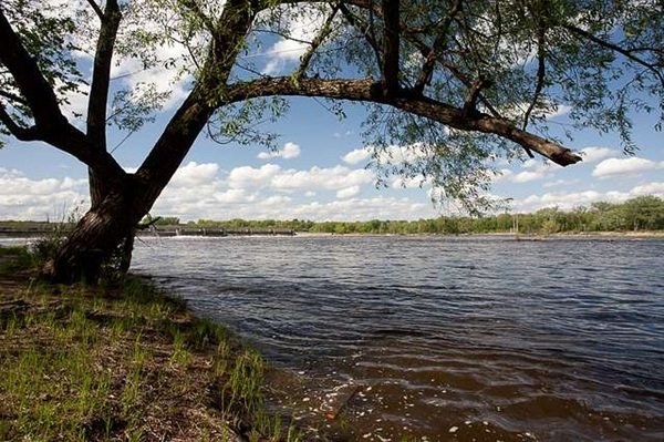 Random Facts (17 pics) Random Facts (17 pics)