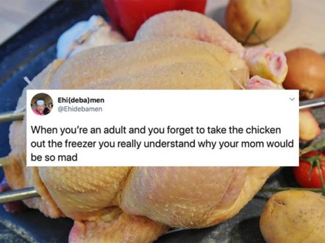 Jokes About Adult Life (28 pics)