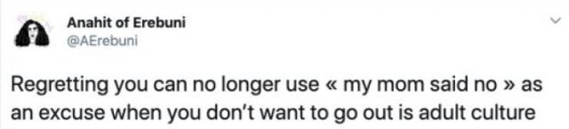 Jokes About Adult Life (28 pics)