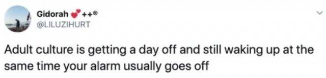 Jokes About Adult Life (28 pics)