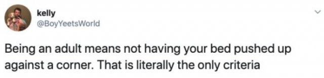 Jokes About Adult Life (28 pics)