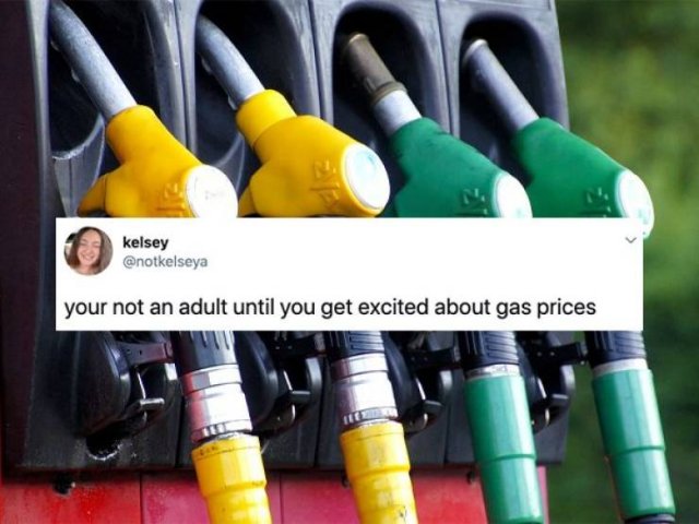 Jokes About Adult Life (28 pics)