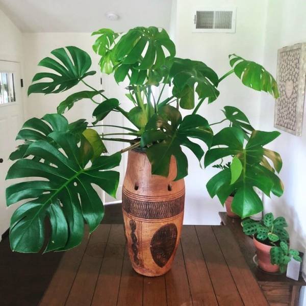 Cool Finds In Thrift Shops (20 pics)