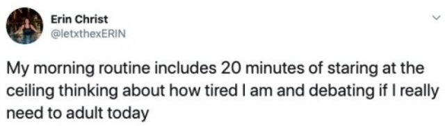 Jokes About Adult Life (28 pics)