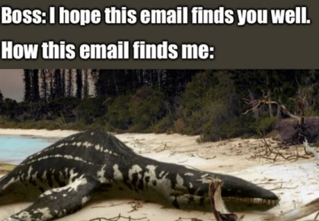 Dinosaur Memes (25 pics) Dinosaur Memes (25 pics)