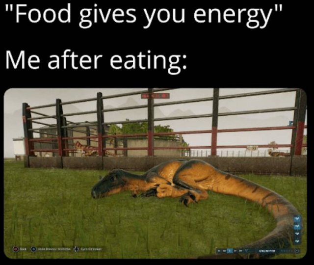 Dinosaur Memes (25 pics) Dinosaur Memes (25 pics)