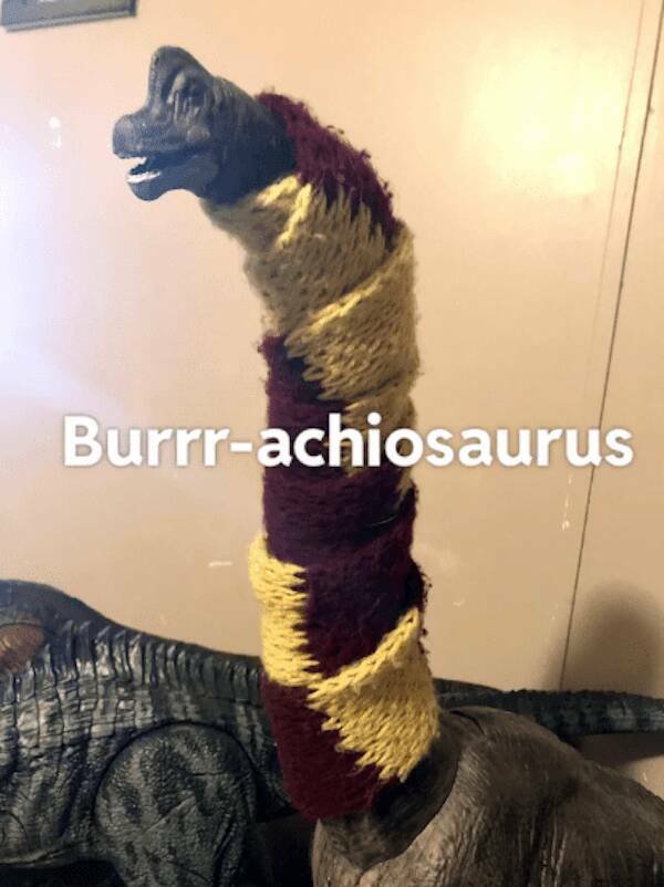 Dinosaur Memes (25 pics) Dinosaur Memes (25 pics)