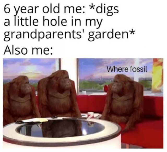 Dinosaur Memes (25 pics)