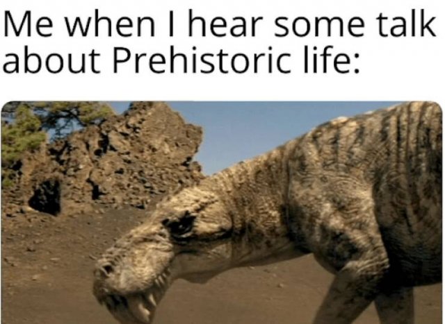 Dinosaur Memes (25 pics) Dinosaur Memes (25 pics)