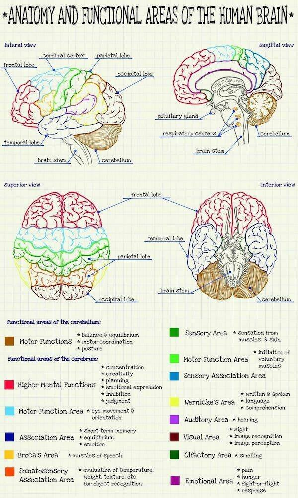 Interesting Data (25 pics)