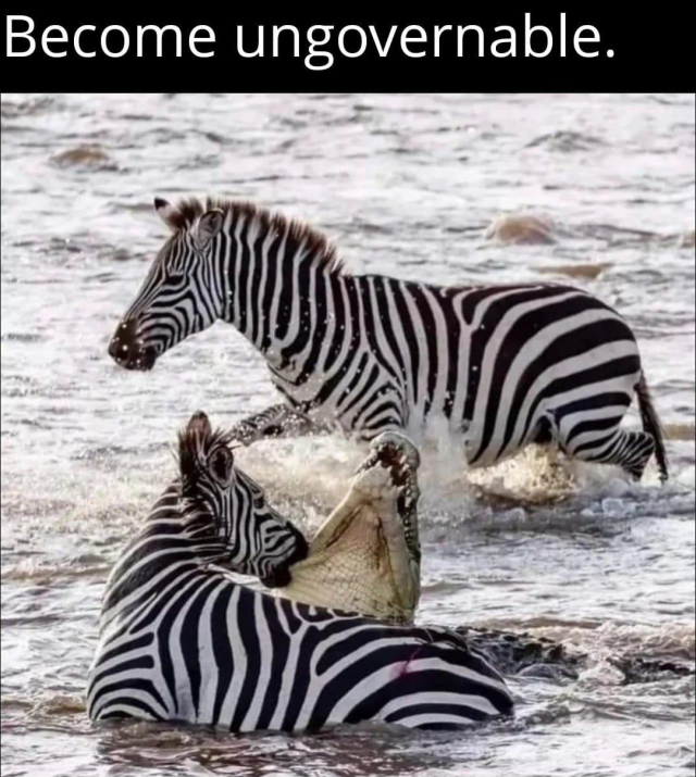 Random Memes (29 pics) Random Memes (29 pics)