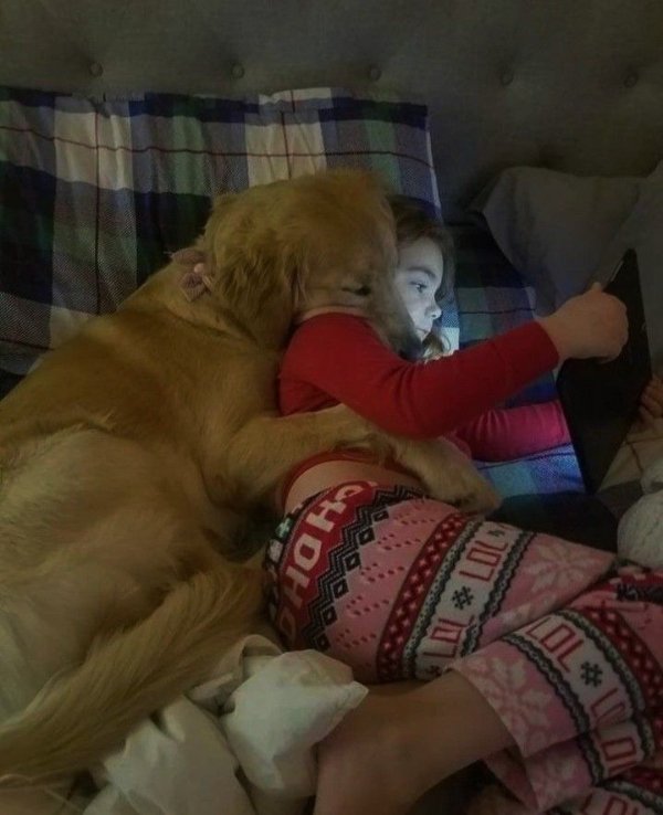 Cute And Funny Dogs (30 pics) Cute And Funny Dogs (30 pics)