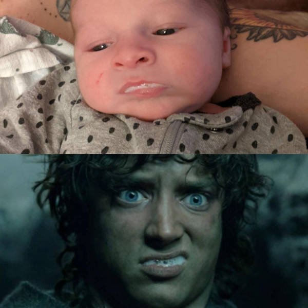 Memes For ''The Lord Of The Rings'' Fans (28 pics) Memes For ''The Lord Of The Rings'' Fans (28 pics)