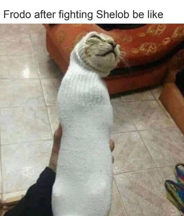 Memes For ''The Lord Of The Rings'' Fans (28 pics) Memes For ''The Lord Of The Rings'' Fans (28 pics)