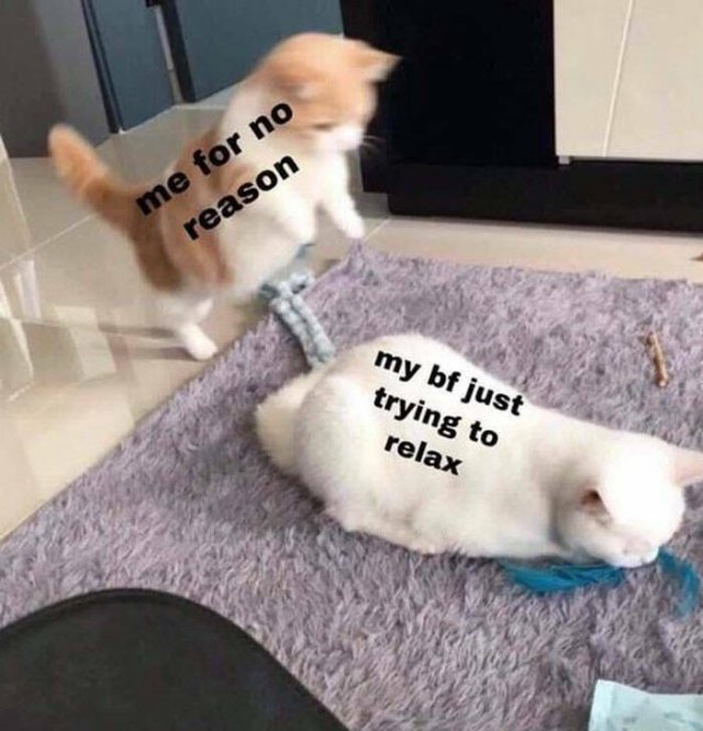 Memes About Relationships (17 pics) Memes About Relationships (17 pics)