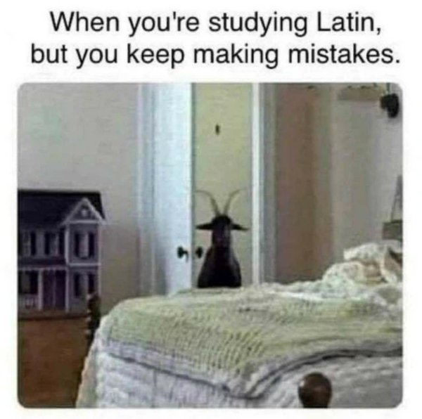 Funny Memes (32 pics)